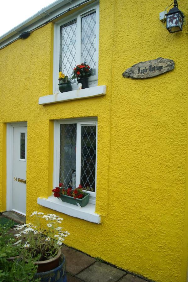 Apple Cottage Brynamman Exterior photo